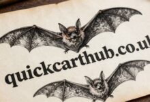bat drawing