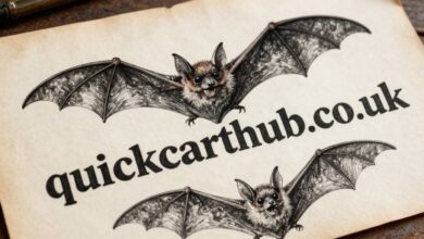 bat drawing